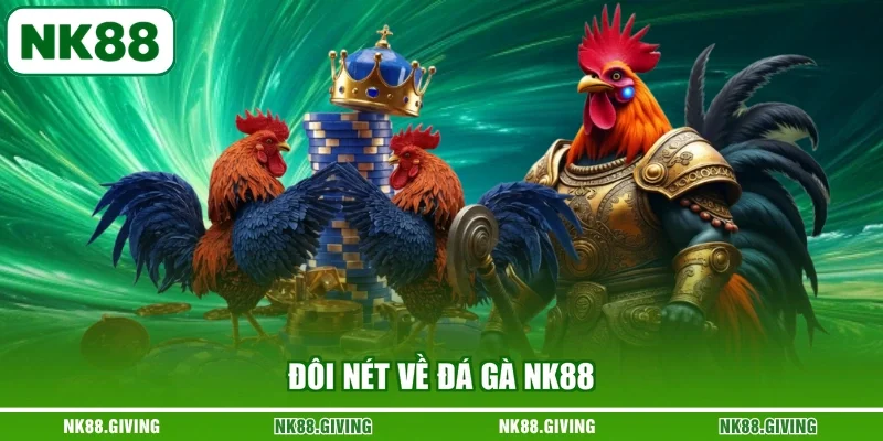 Đá Gà NK88 Đôi nét về đá gà NK88