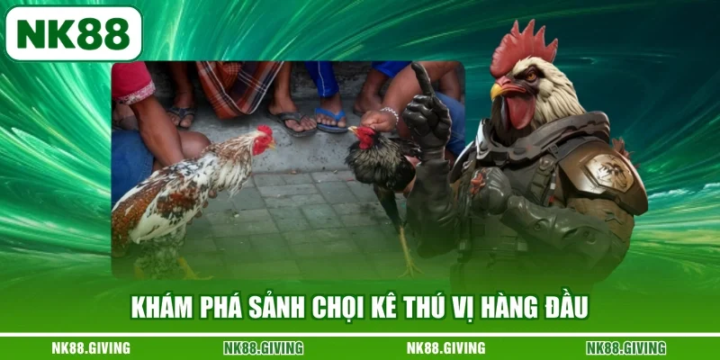 Đá Gà Campuchia - Những Cuộc Đối Đầu Căng Thẳng Và Nảy Lửa Khám phá sảnh chọi kê thú vị hàng đầu