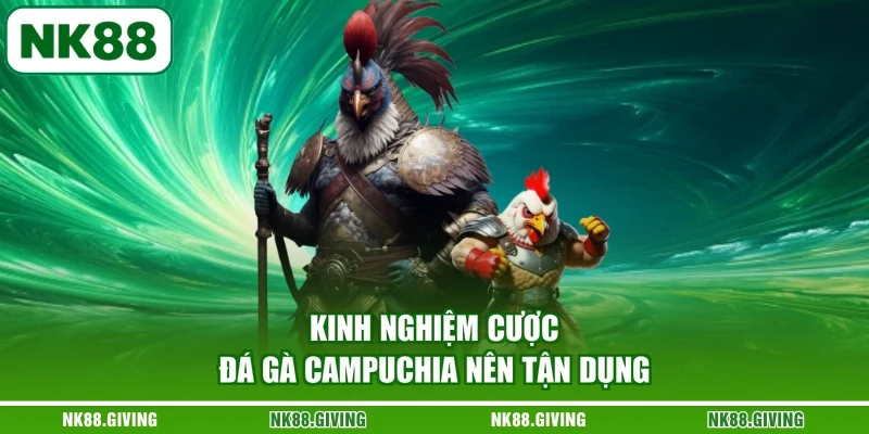Đá Gà Campuchia - Những Cuộc Đối Đầu Căng Thẳng Và Nảy Lửa Kinh nghiệm cược đá gà Campuchia nên tận dụng