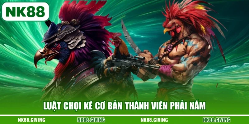 Đá Gà Campuchia - Những Cuộc Đối Đầu Căng Thẳng Và Nảy Lửa Luật chọi kê cơ bản thành viên phải nắm