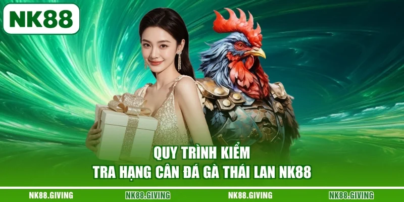 Đá Gà Thái Lan - Khám Phá Bí Quyết Đặt Cược Cùng NK88 2026 Quy trình kiểm tra hạng cân đá gà Thái Lan NK88
